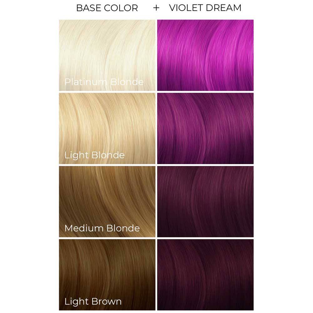 Vibrant Arctic Fox Violet Dream Background Photography Vibrant Arctic Fox Violet Dream Background Photography